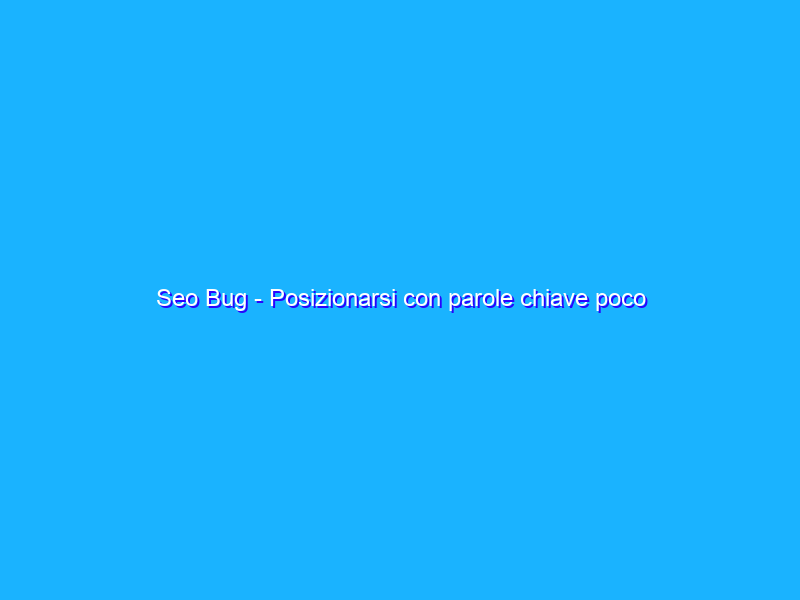 Seo Bug - Posizionarsi con parole chiave poco competitive